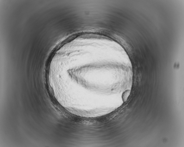 X0000097300346200803141537