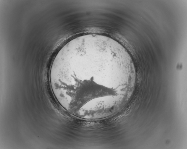 X0000097300347200803141537