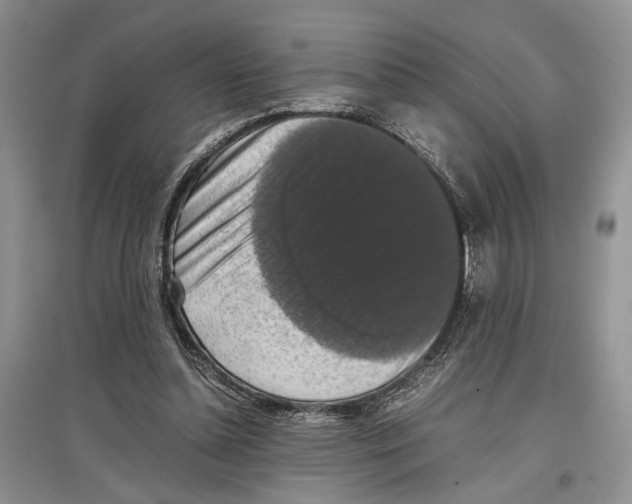 X0000097300348200803141537
