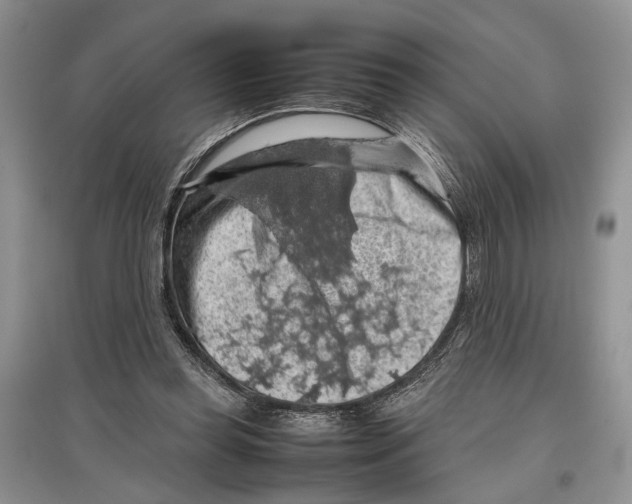 X0000097300349200803141537