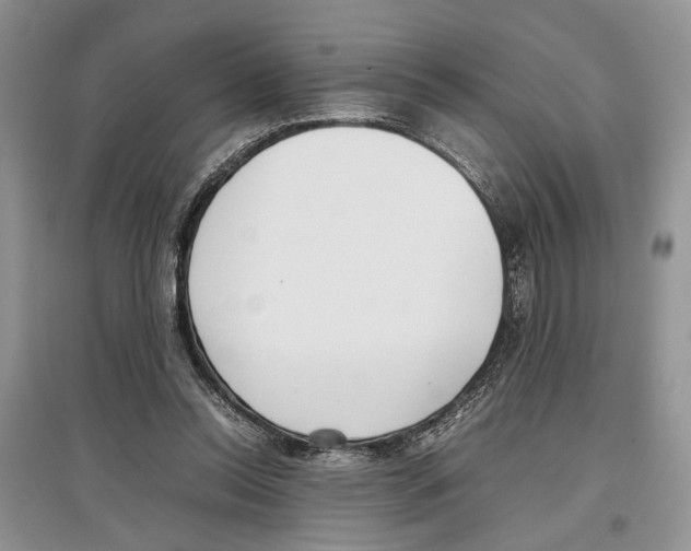 X0000097300350200803141537