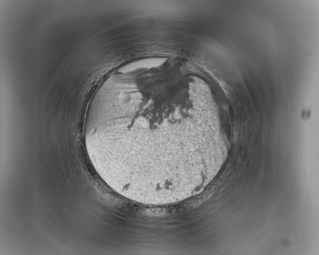 X0000097300353200803141537