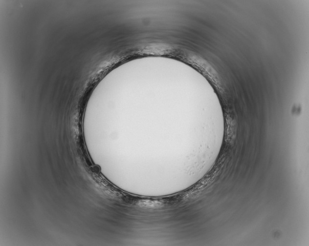 X0000097300354200803141537