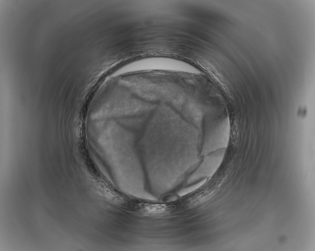 X0000097300355200803141537