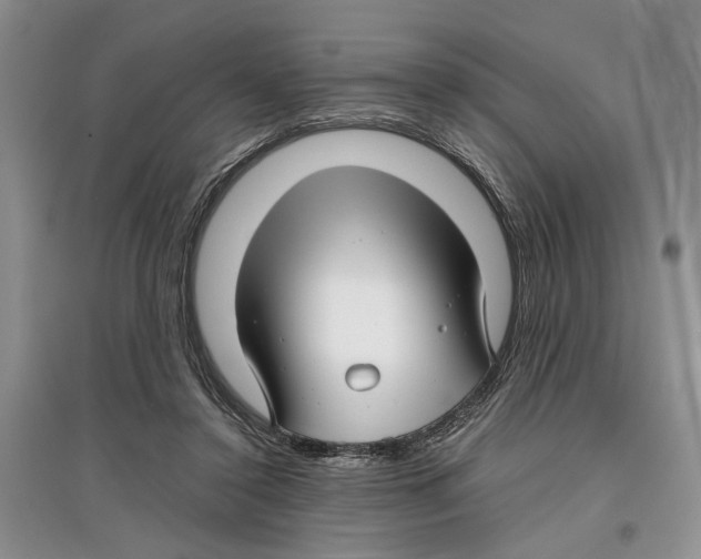 X0000097300356200803141537