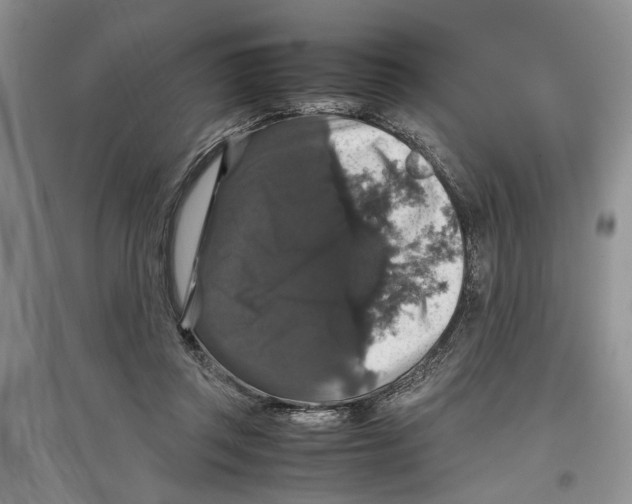 X0000097300357200803141537