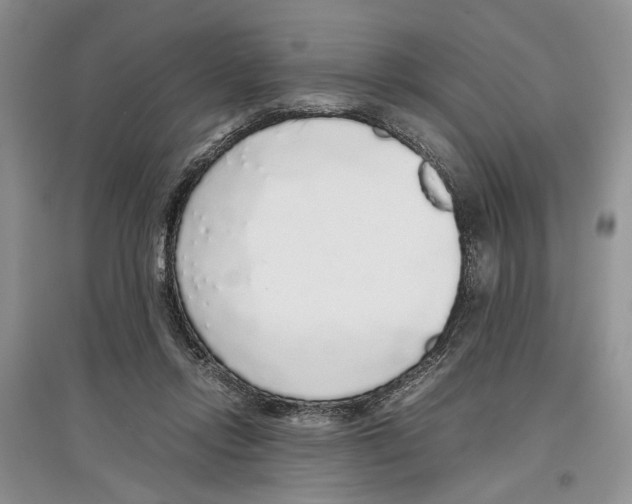 X0000097300358200803141537