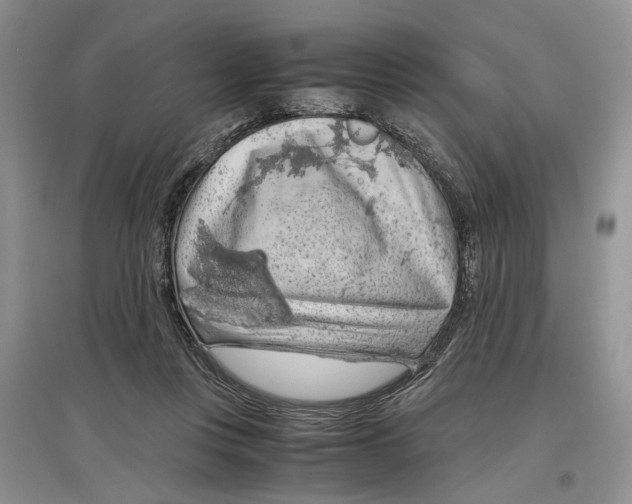 X0000097300359200803141537