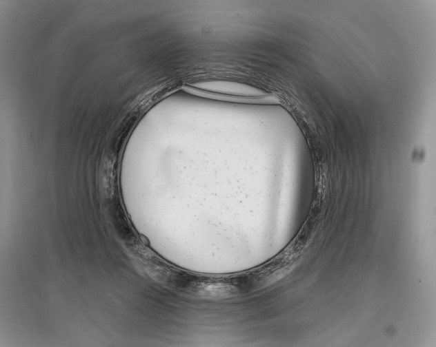 X0000097300360200803141537