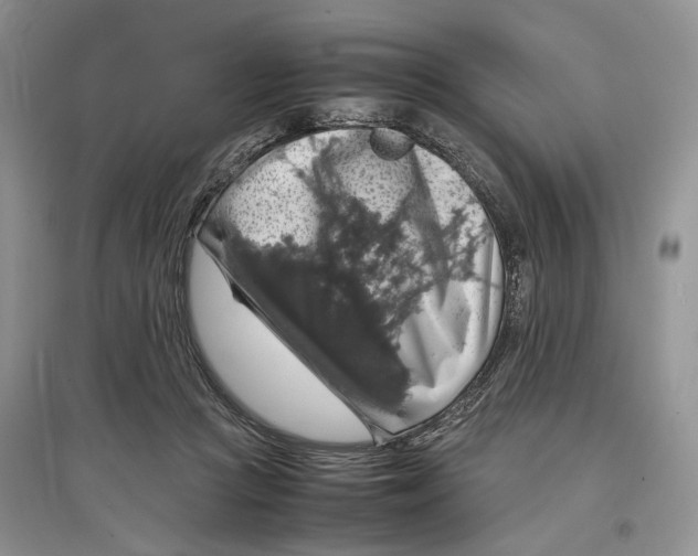 X0000097300361200803141537
