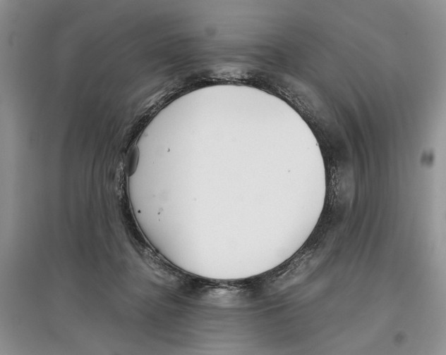 X0000097300364200803141537