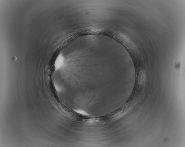 X0000097300366200803141537