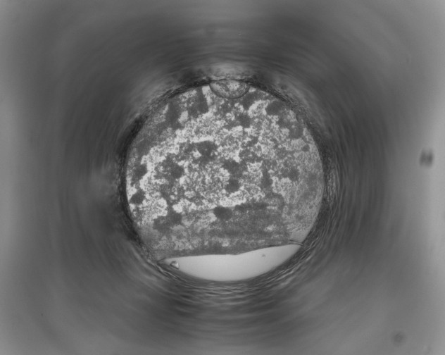 X0000097300367200803141537