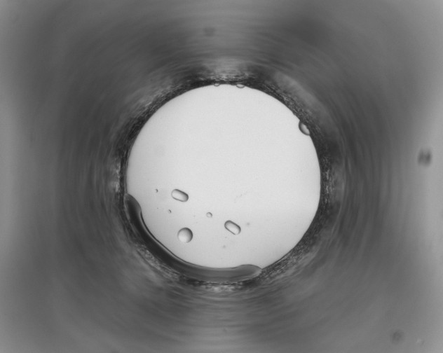 X0000097300368200803141537