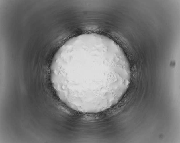 X0000097300369200803141537
