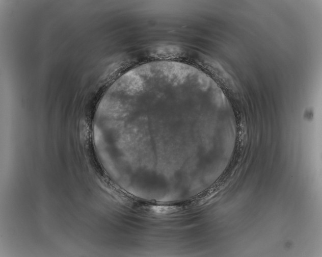 X0000097300371200803141537