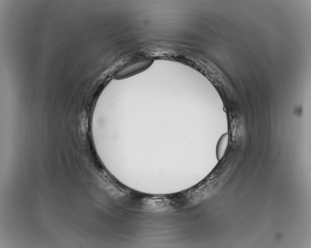 X0000097300372200803141537