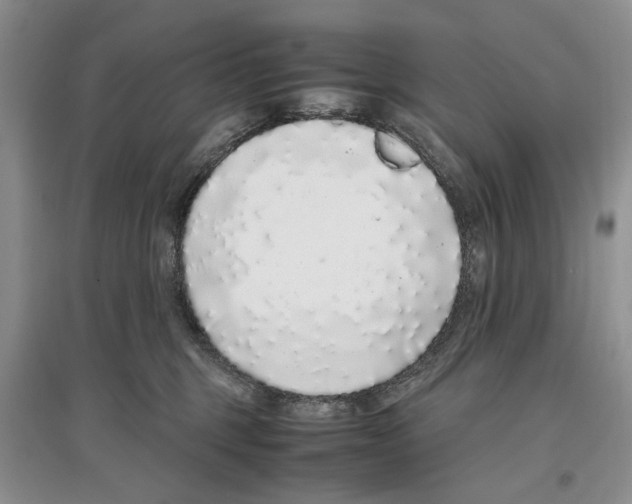 X0000097300375200803141538