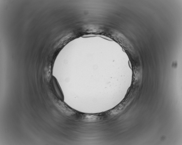 X0000097300376200803141538