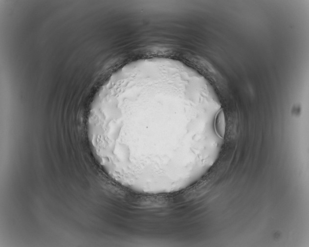 X0000097300377200803141538