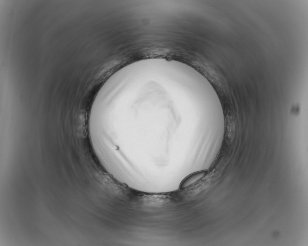 X0000097300378200803141538