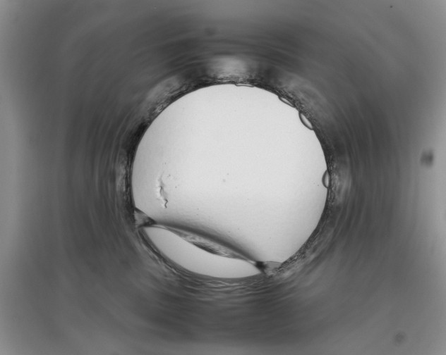 X0000097300379200803141538