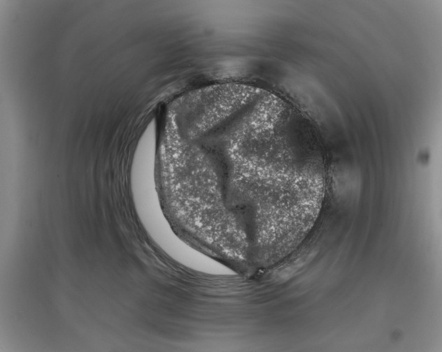 X0000097300380200803141538