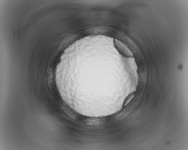 X0000097300381200803141538