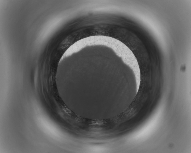 X0000097300382200803141538
