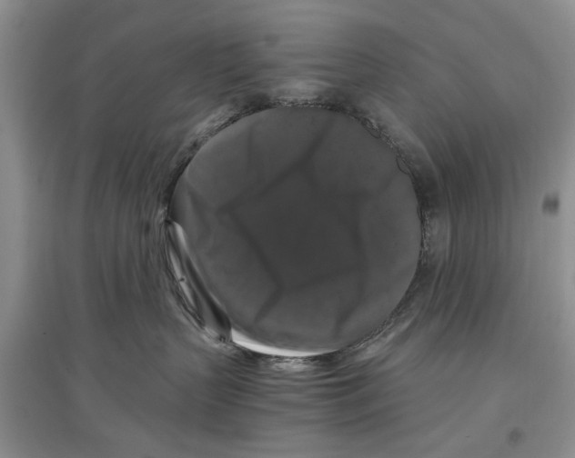 X0000097300383200803141538