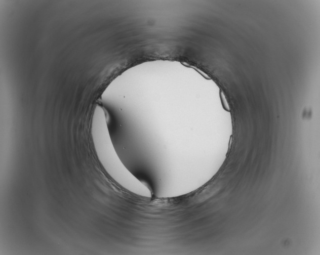 X0000097300384200803141538