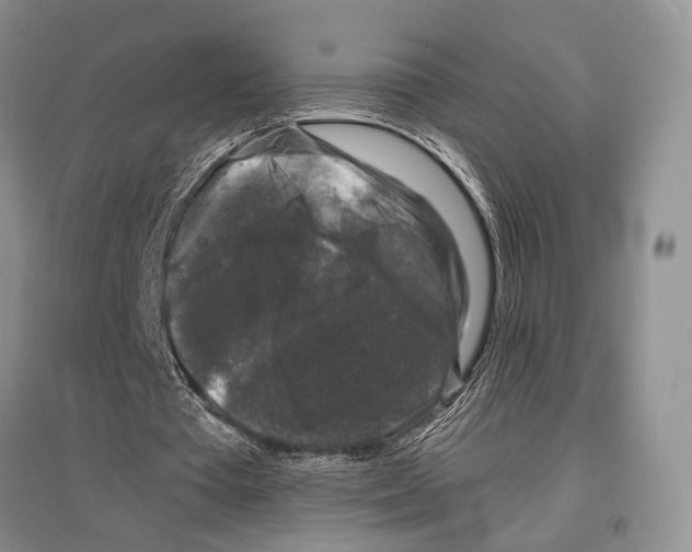 X0000097300385200803141537