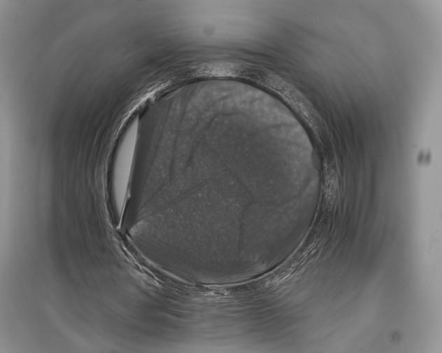 X0000097300386200803141537