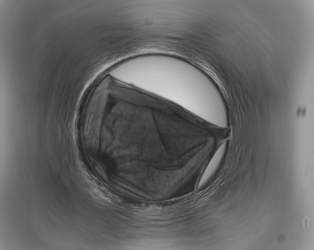 X0000097300387200803141537