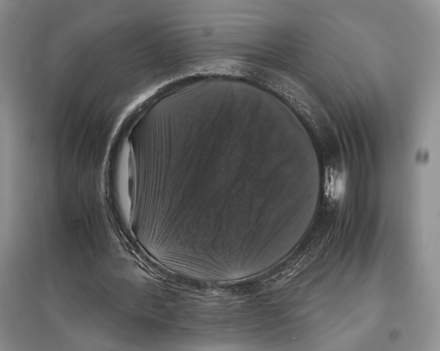 X0000097300388200803141537