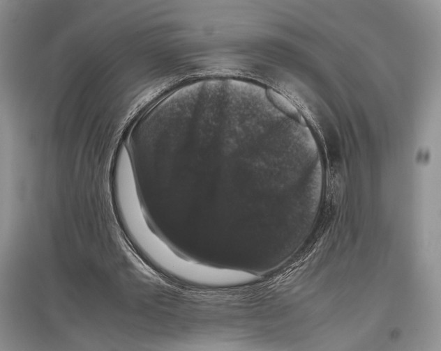 X0000097300389200803141537