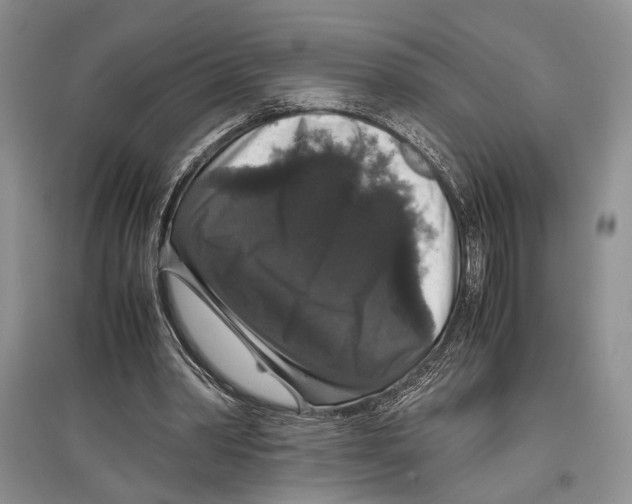 X0000097300390200803141537
