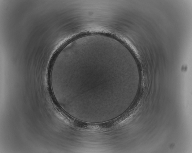 X0000097300391200803141537