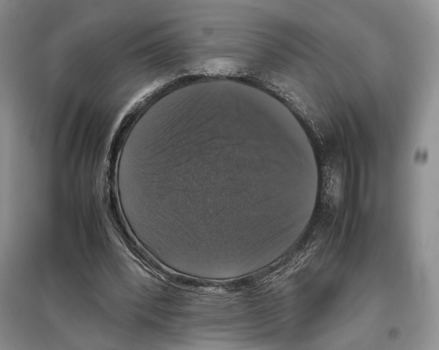 X0000097300392200803141537