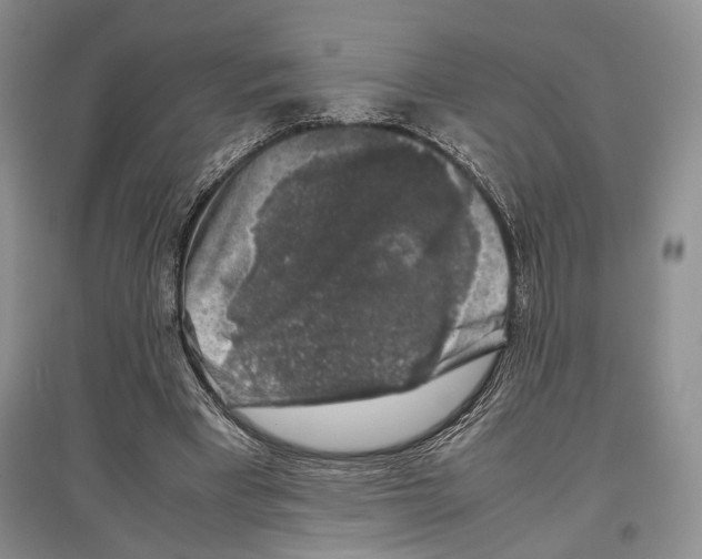 X0000097300393200803141537