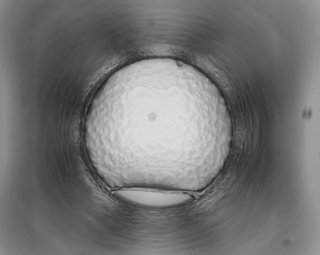 X0000097300394200803141537