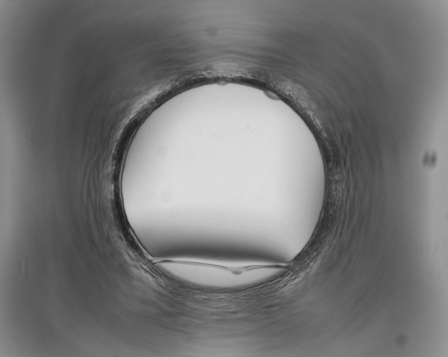 X0000097300395200803141537