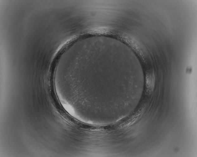 X0000097300396200803141537