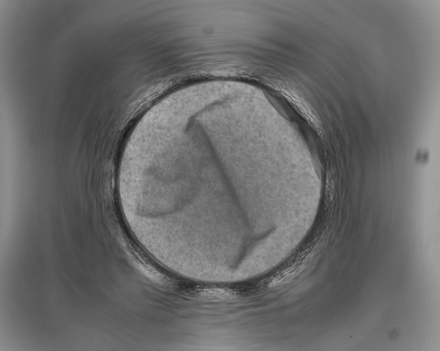 X0000097300397200803141537