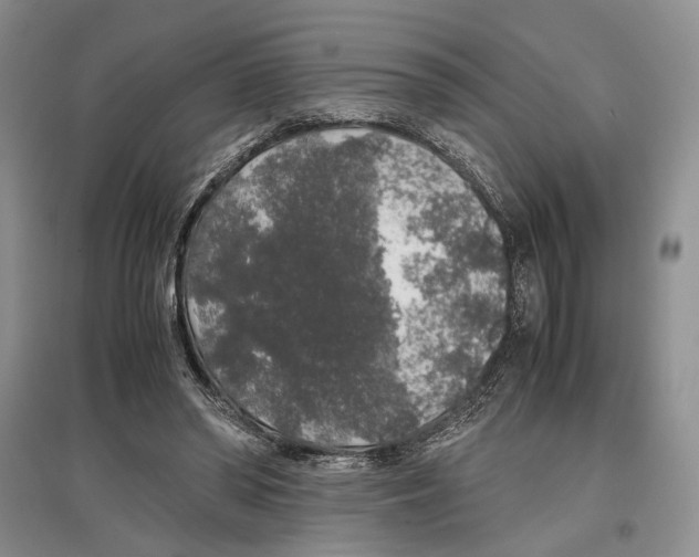 X0000097300398200803141537