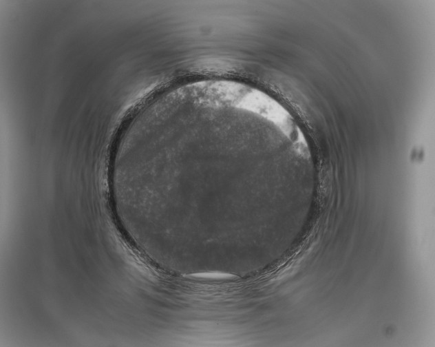 X0000097300399200803141537