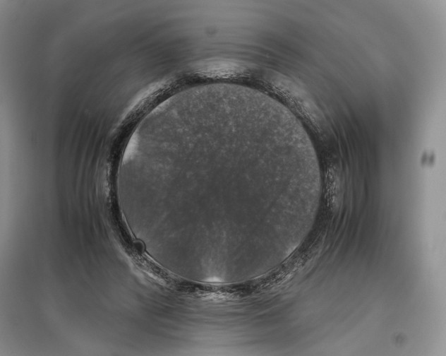 X0000097300400200803141537