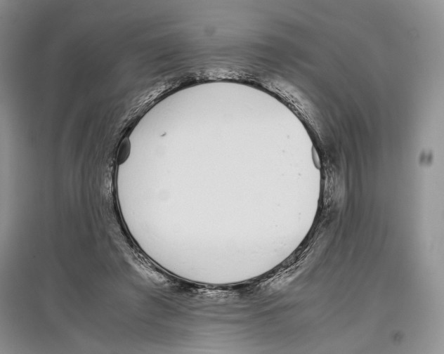 X0000097300401200803141537