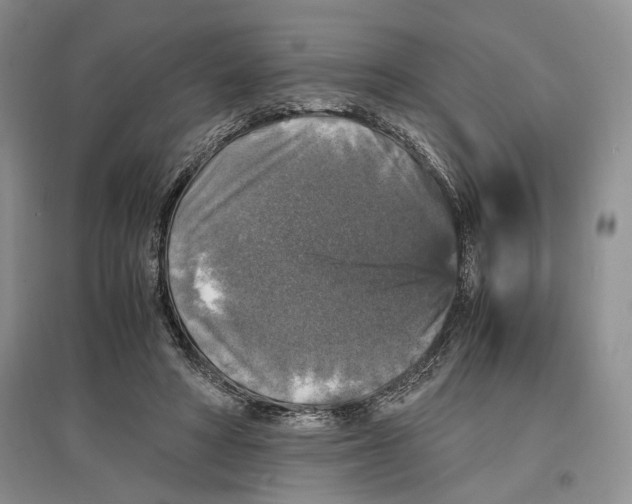 X0000097300402200803141537