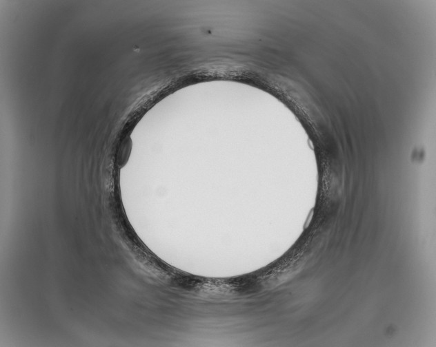 X0000097300403200803141537